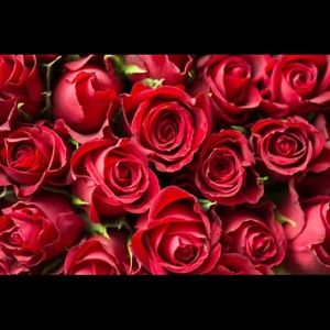 Meet your Posher, Janella